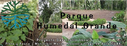 Parque Humedal Grande