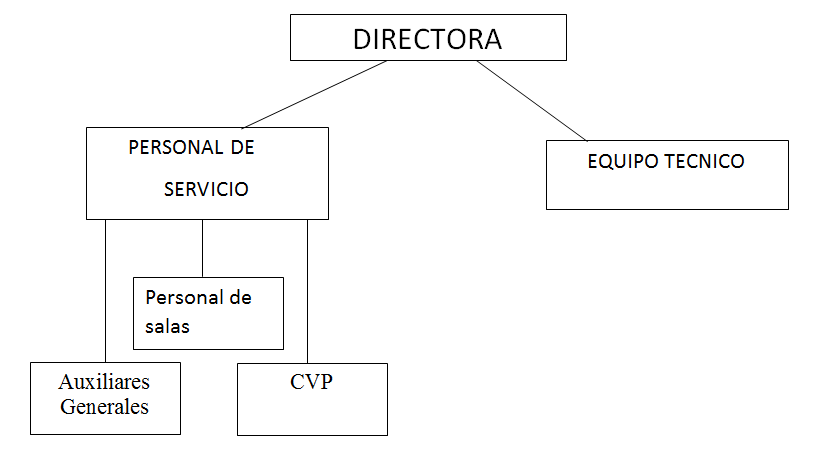 Estructura organizacional del Museo